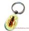 insect crafts , insect key chains